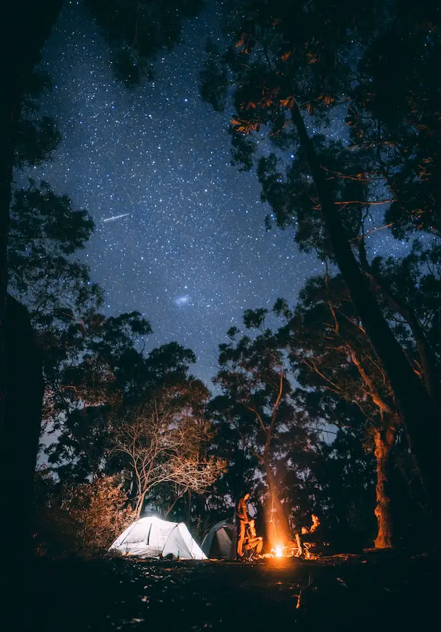 Low Light Mobile Phone Photography: A Smartphone Camera Guide 2 Enhance your low light mobile phone photography using night mode and a tripod.