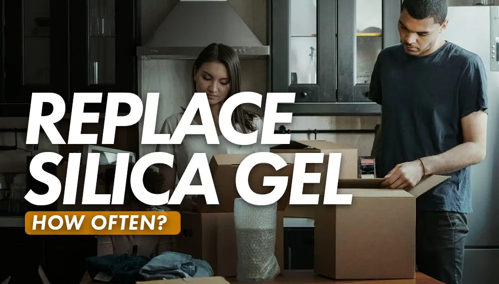 How often should I replace my silica gel packets?